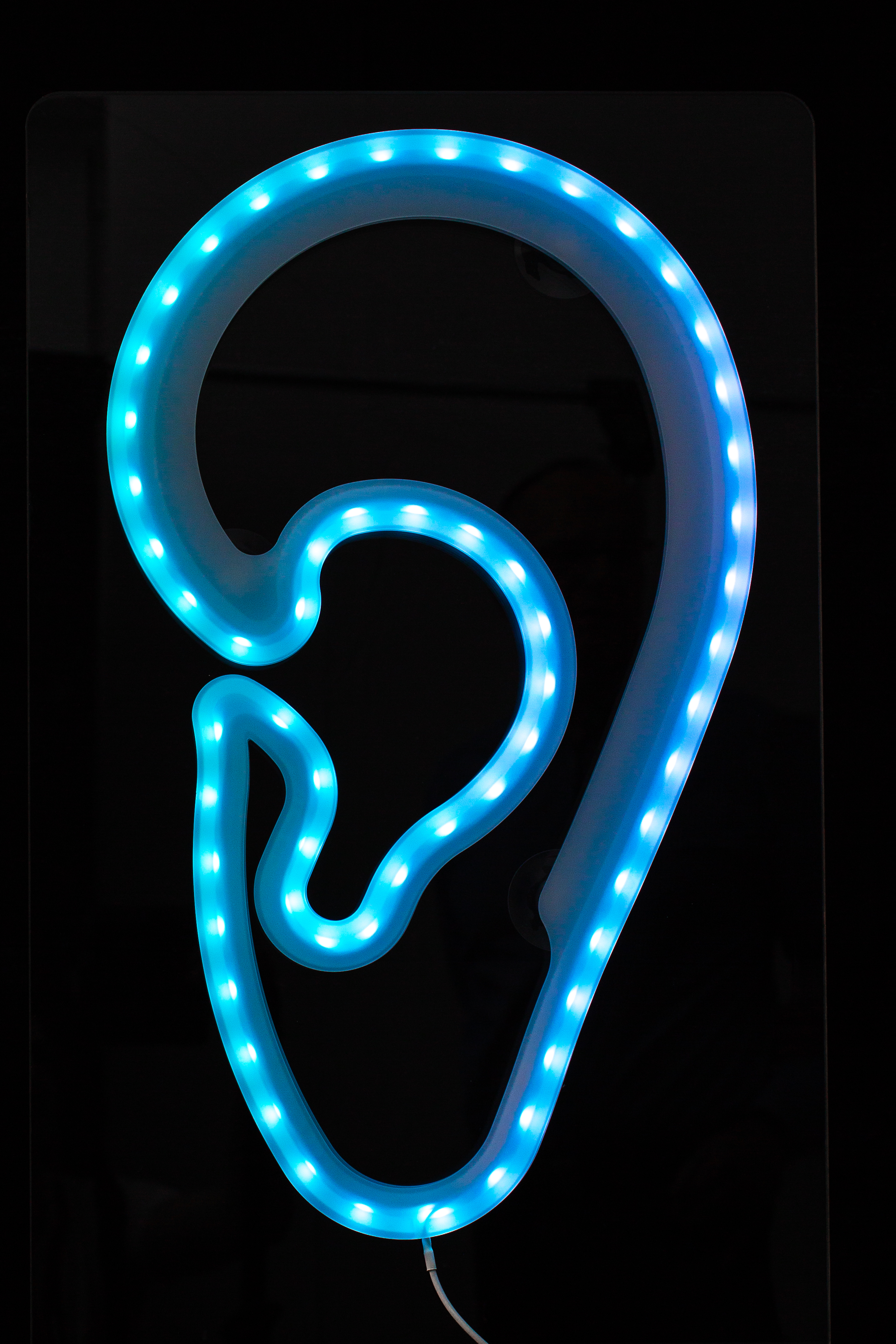 LED-Leuchtohr window AKUSTIK Werbung