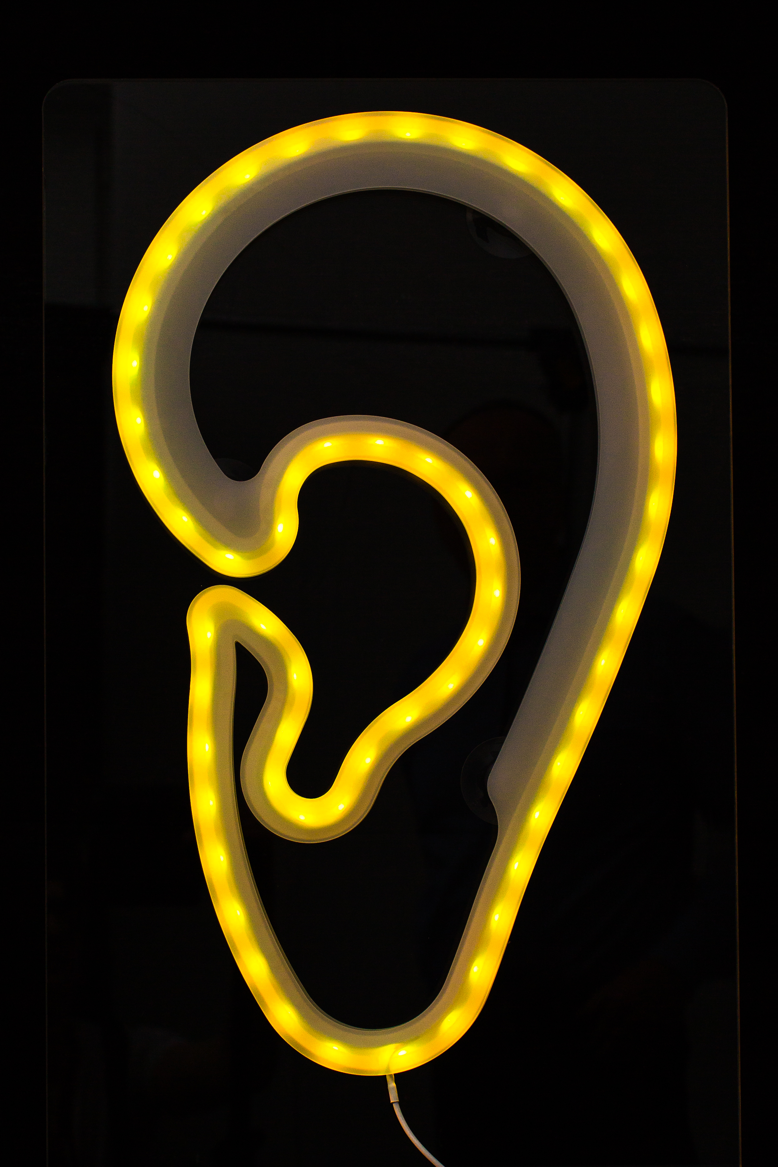 LED-Leuchtohr window AKUSTIK Werbung