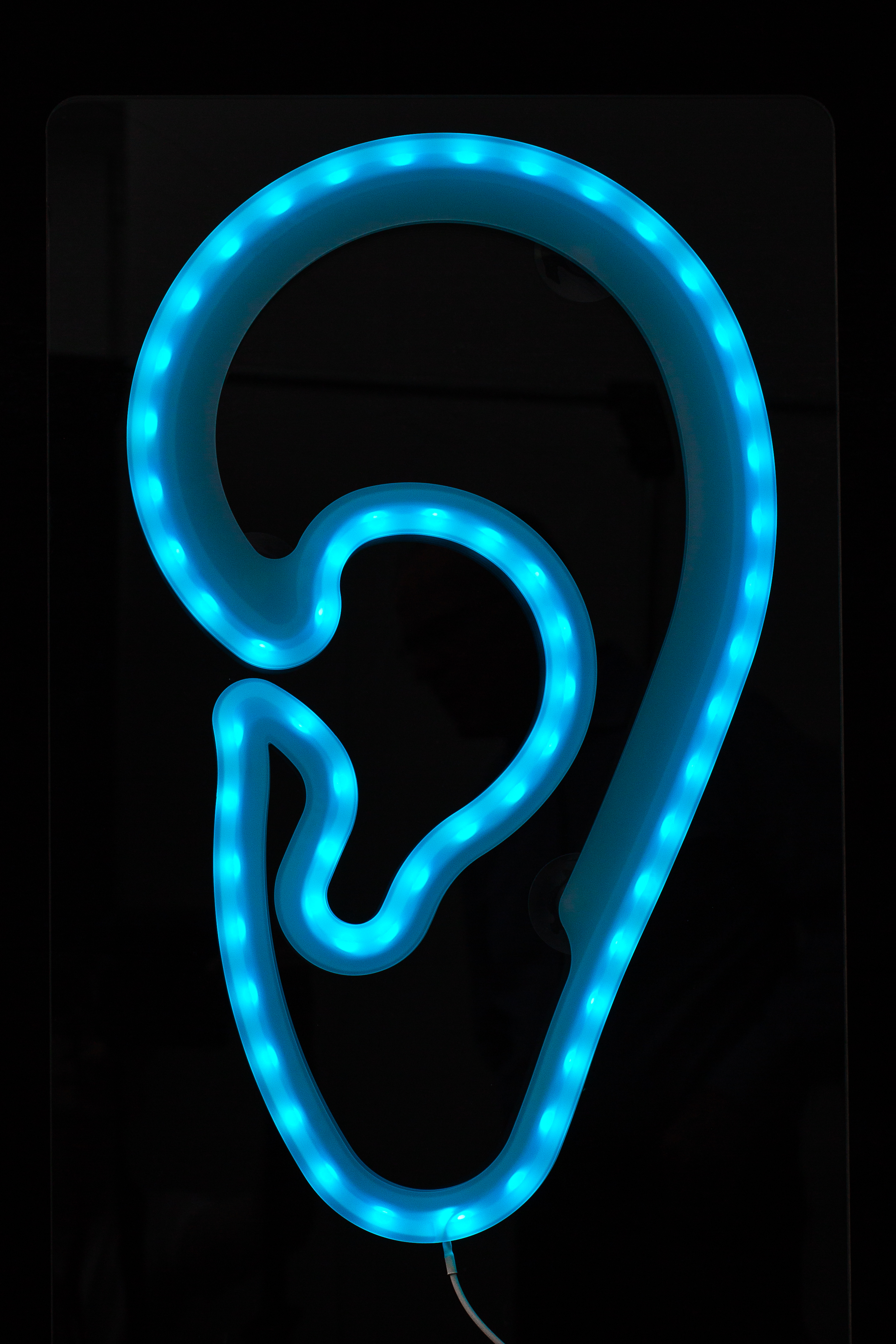 LED-Leuchtohr window AKUSTIK Werbung