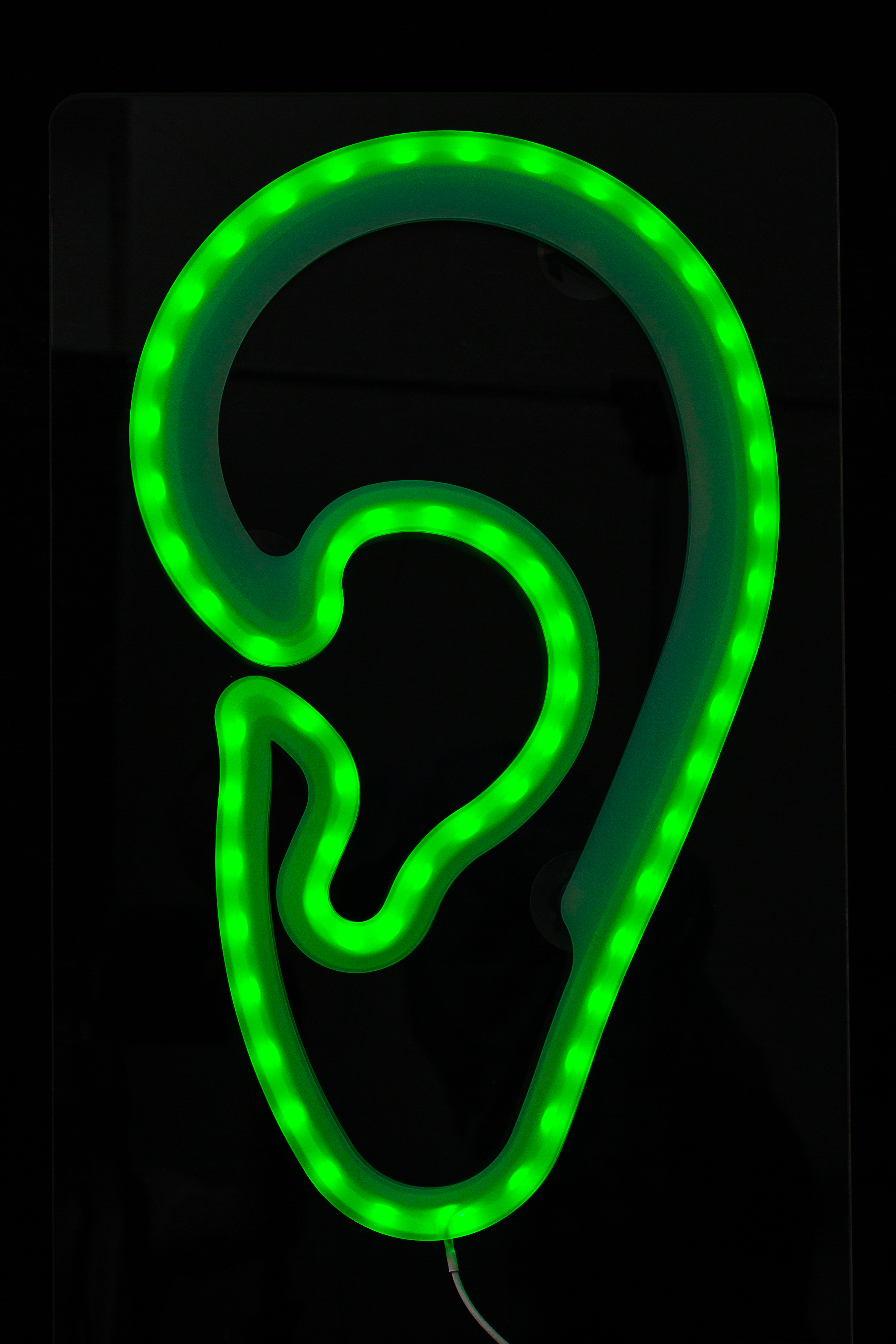 LED-Leuchtohr window AKUSTIK Werbung