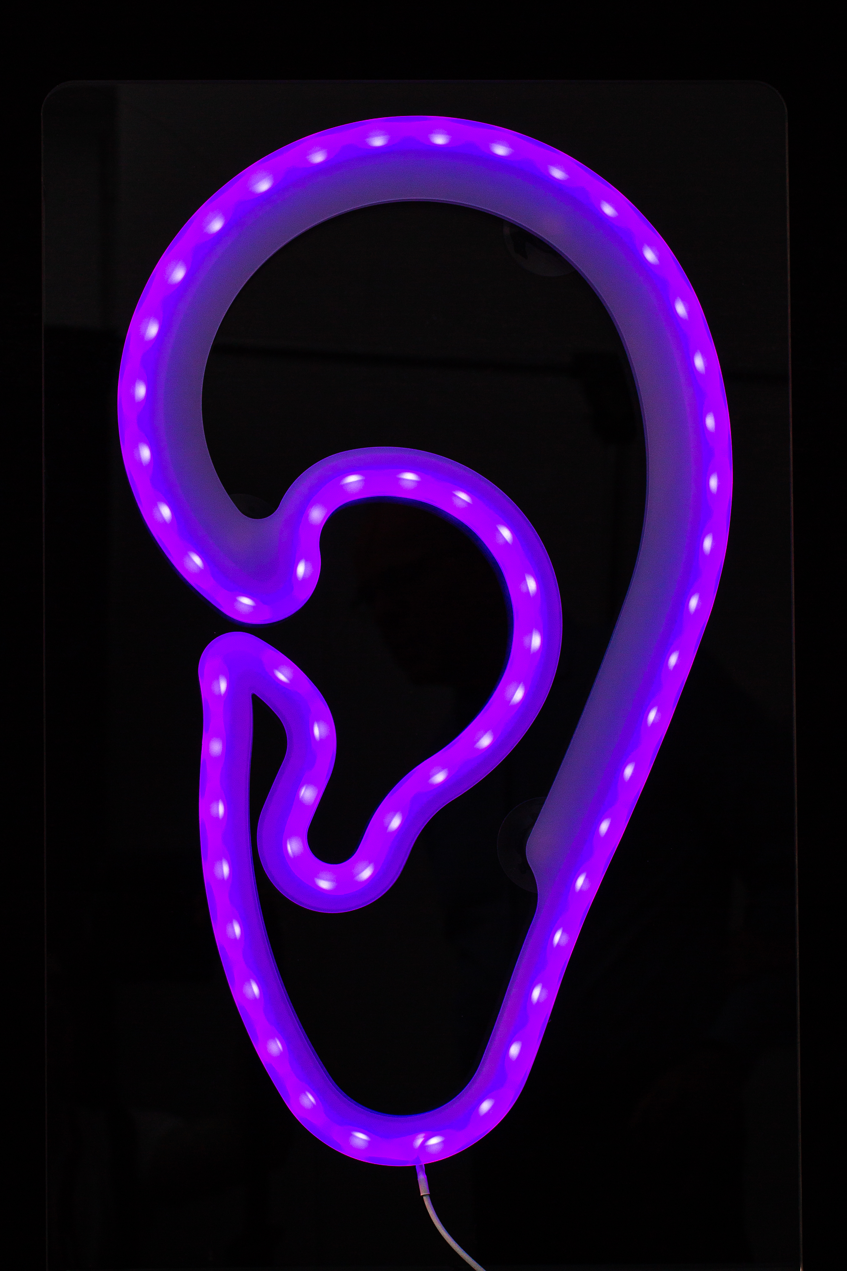 LED-Leuchtohr window AKUSTIK Werbung