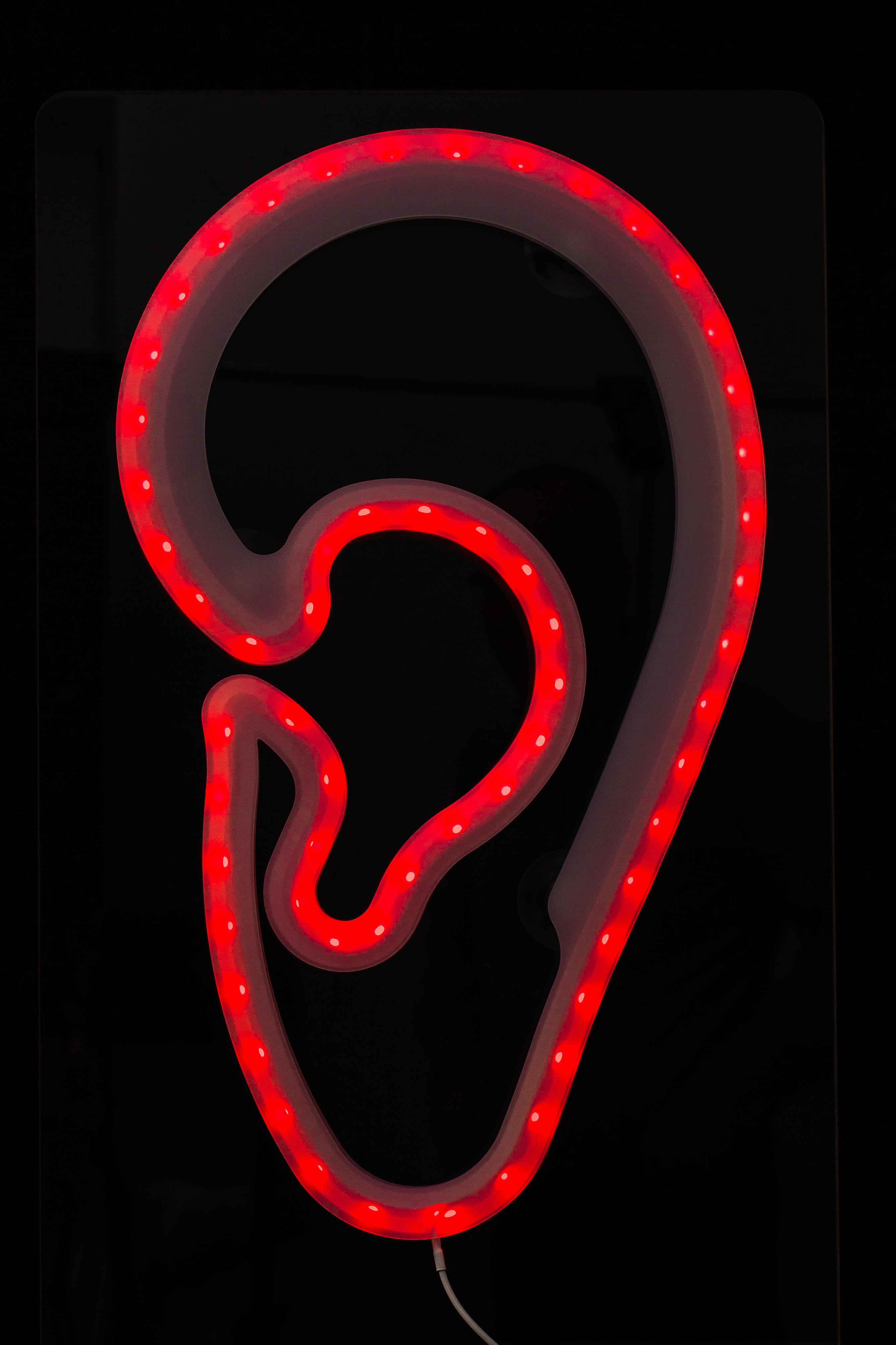 LED-Leuchtohr window AKUSTIK Werbung