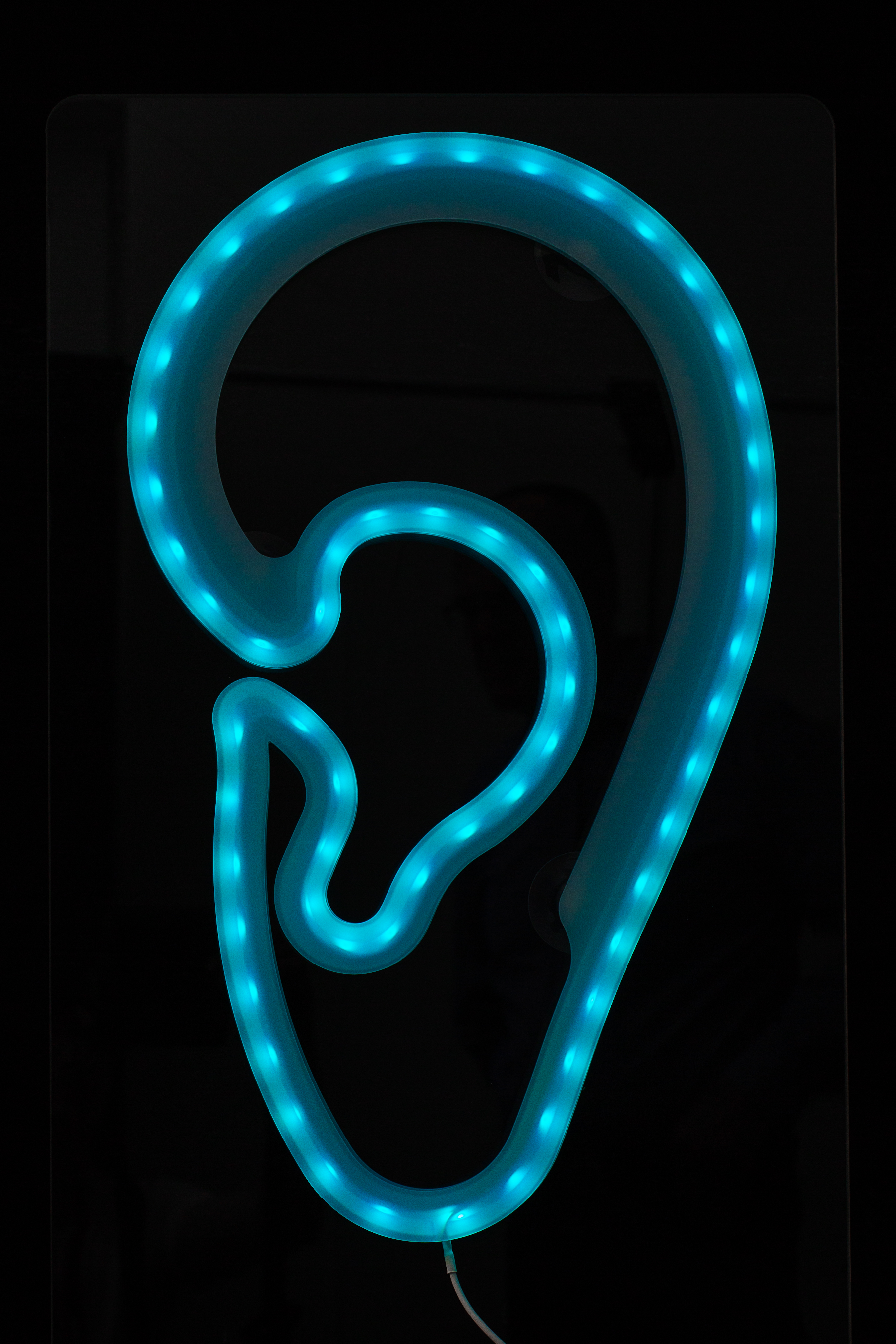 LED-Leuchtohr window AKUSTIK Werbung