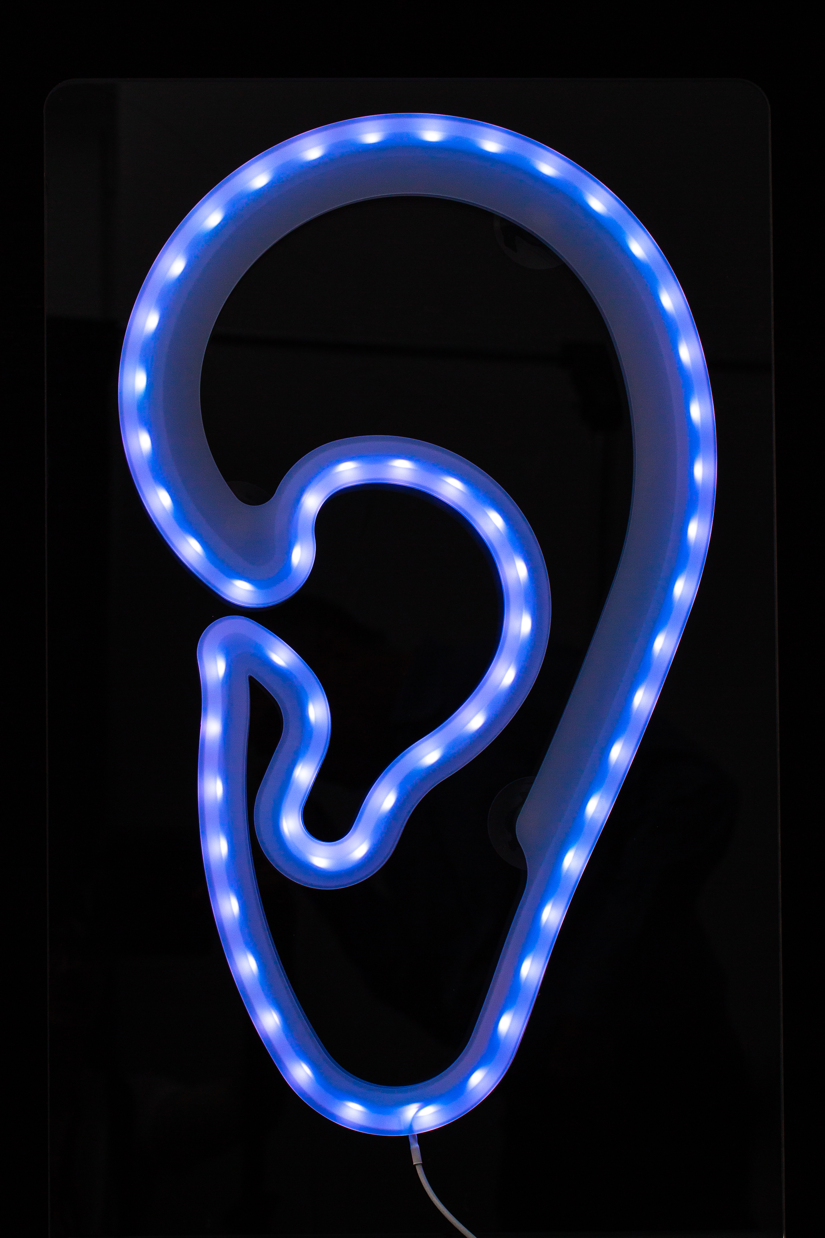 LED-Leuchtohr window AKUSTIK Werbung