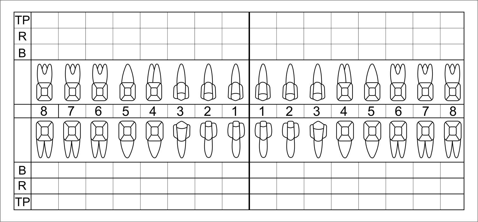 Zahnschema Etikett plastisch, groß