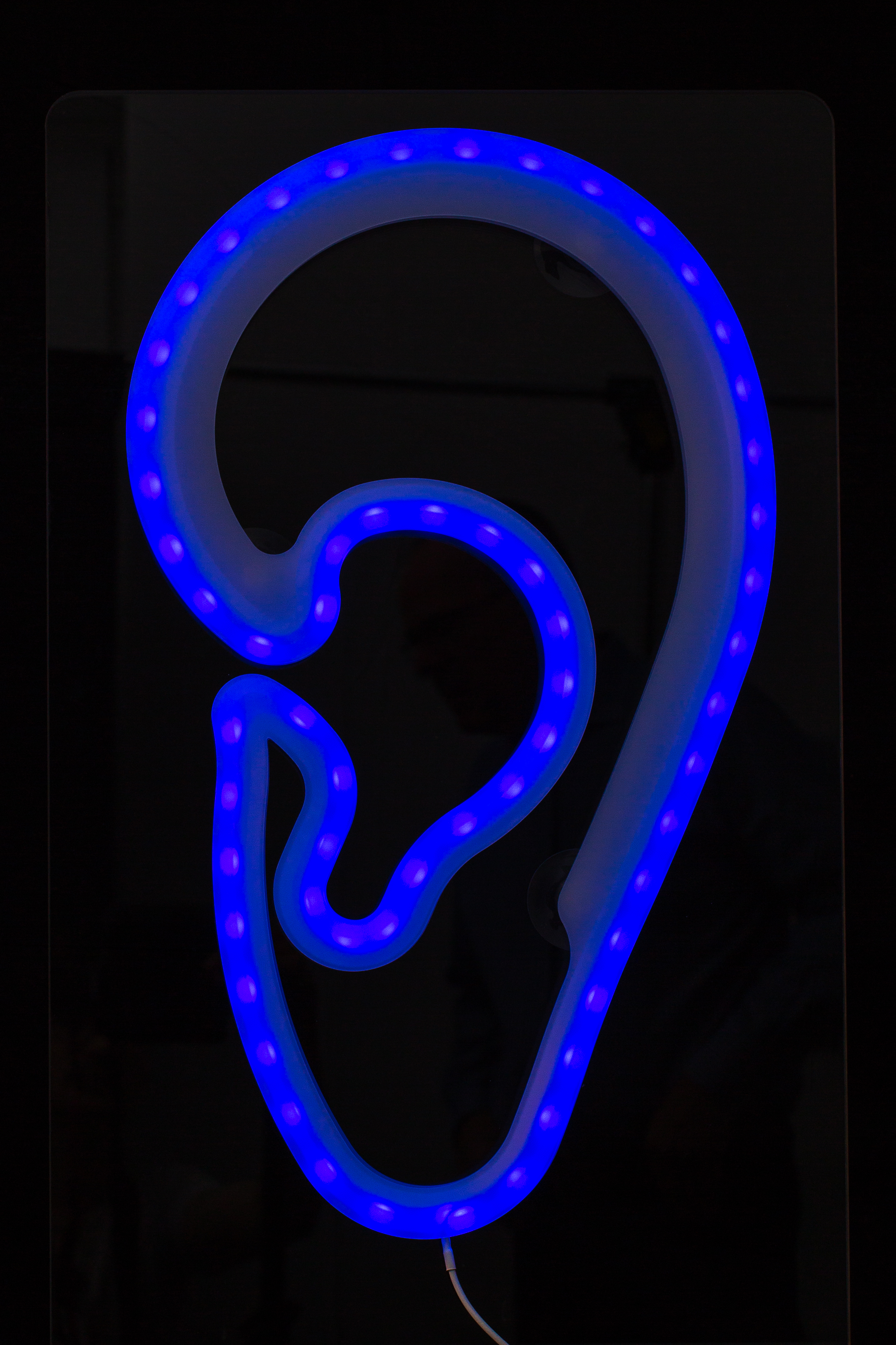 LED-Leuchtohr window AKUSTIK Werbung