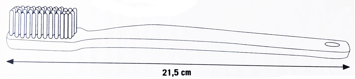 XXL Zahnbürste einzeln - Zahnputzmodell Maxi