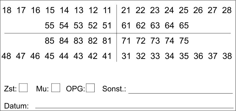 Etikett Zahnschema Befund 01 (groß)