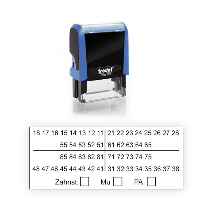Zahnschema Stempel Z01 groß