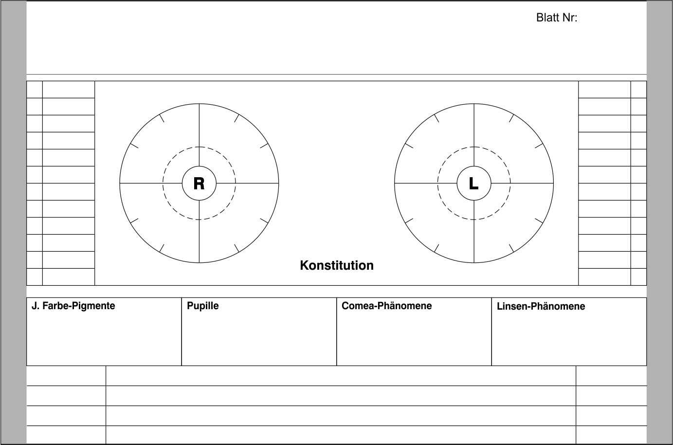 Einlegeblatt Irisdiagnose Denova