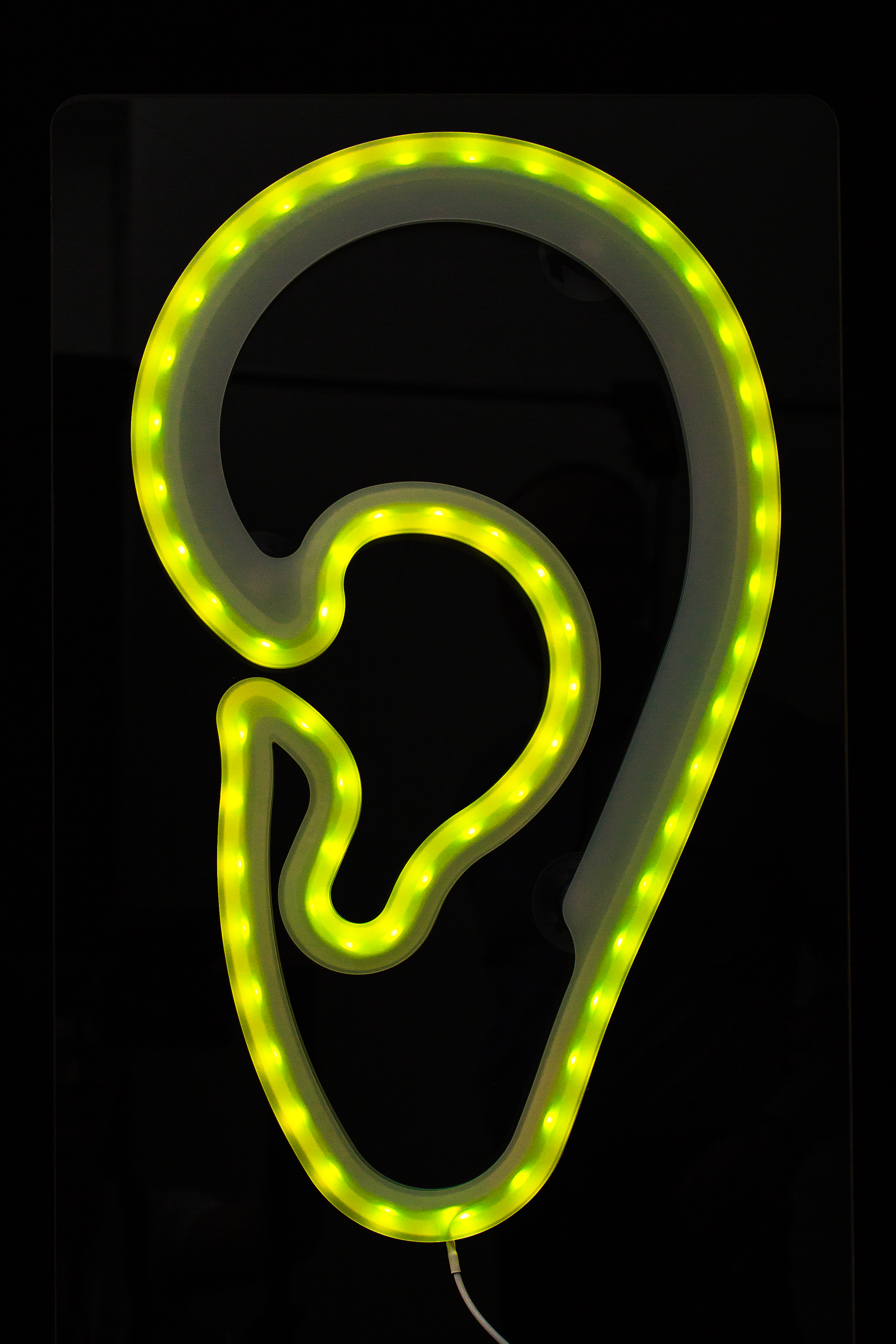 LED-Leuchtohr window AKUSTIK Werbung